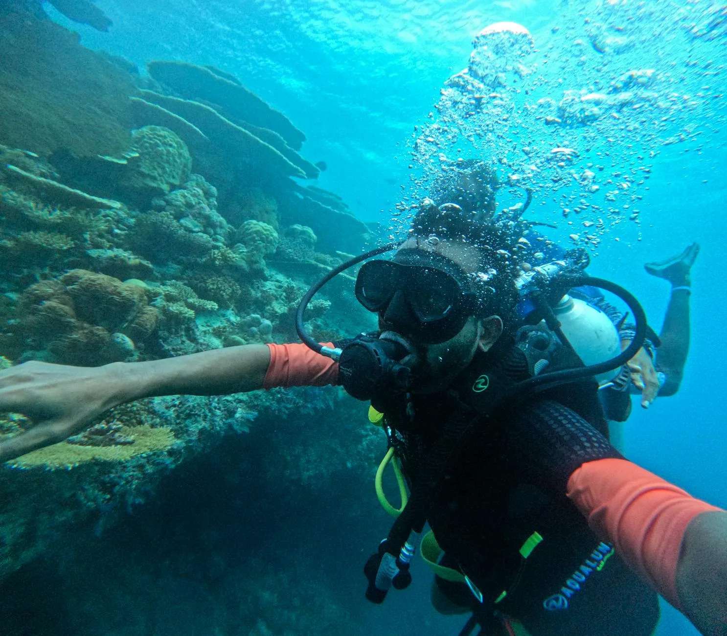 La qualité des eaux et de la plongée