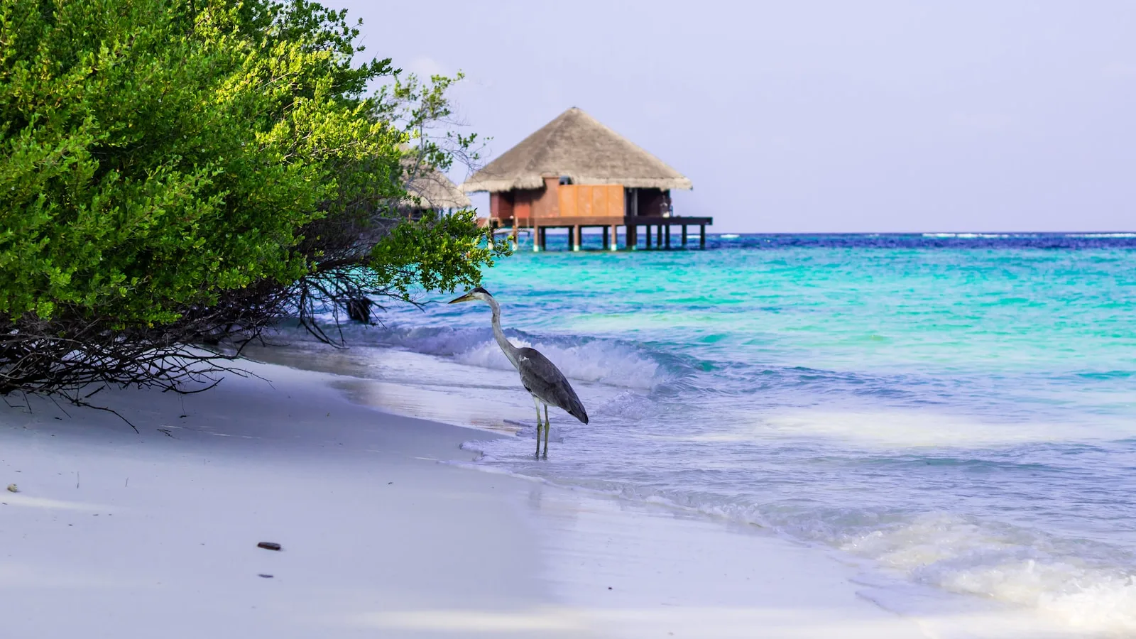 ️ Les îles incontournables d'un island hopping