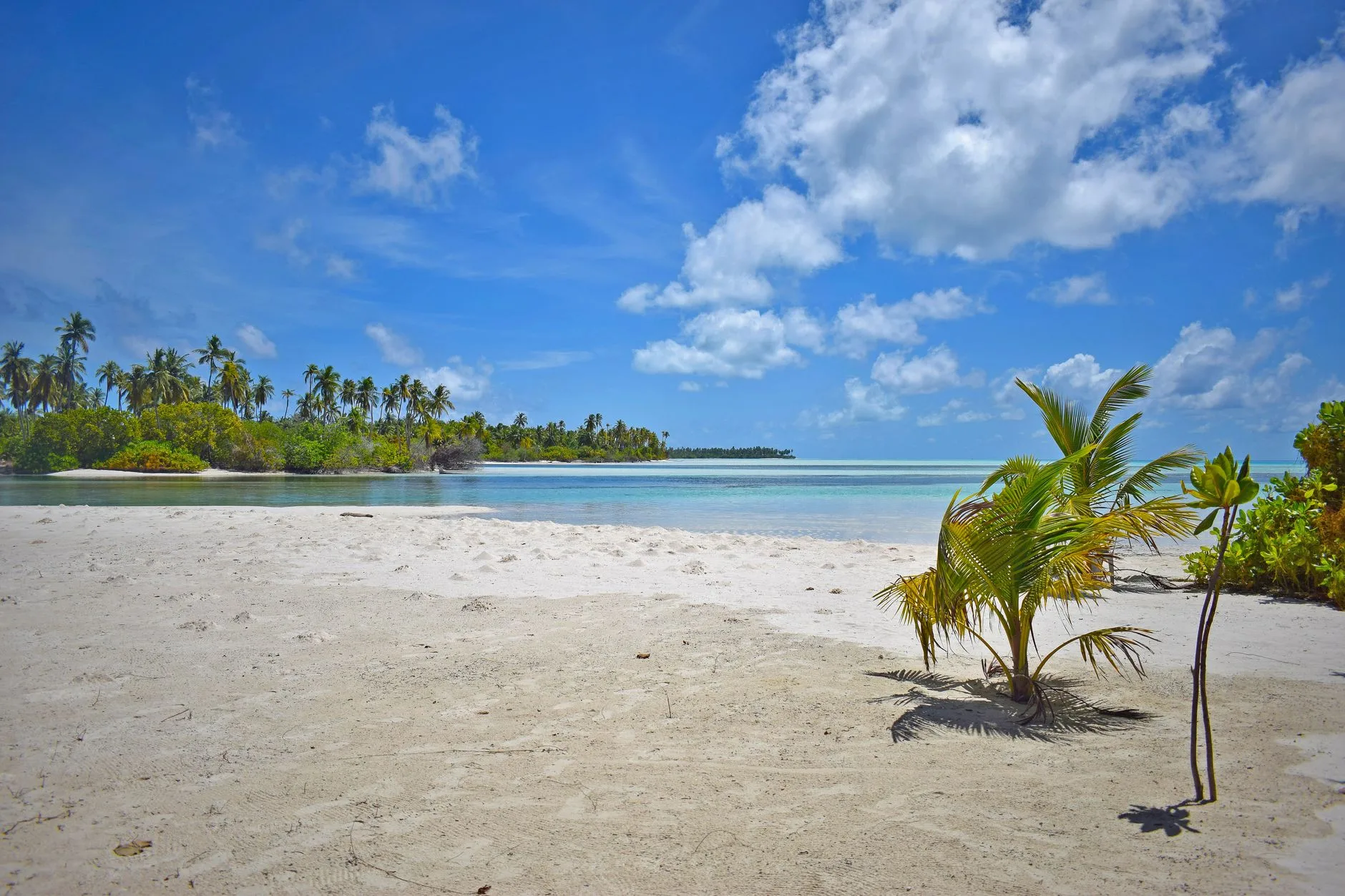 Jour 3–5 : Maafushi et l'atoll de Malé Sud