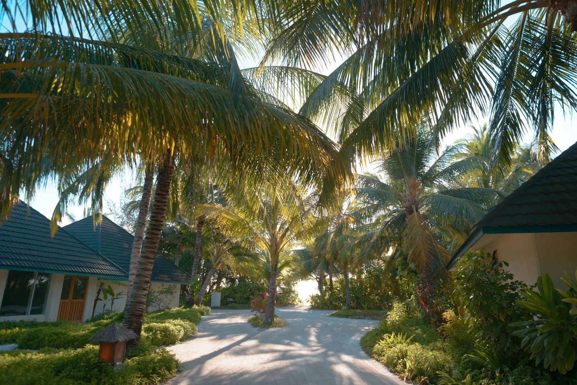 Les types d'hébergement à Rasdhoo