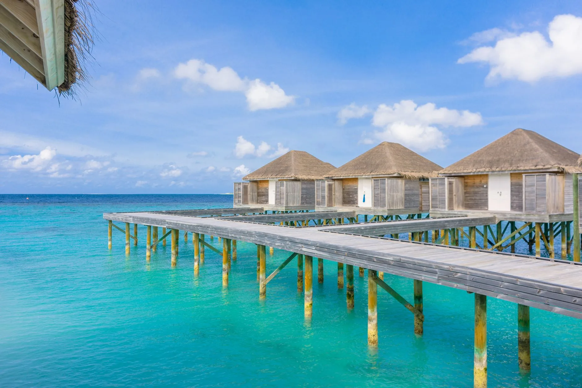 Guesthouses premium à Thulusdhoo (140-250 €/nuit)