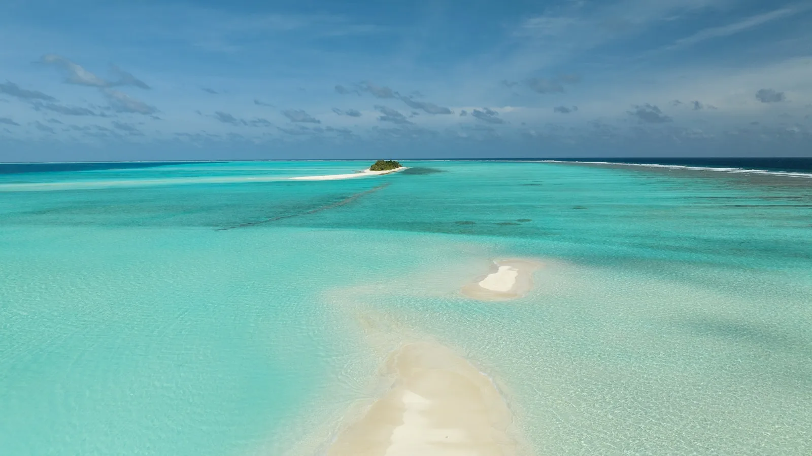La plongée aux Maldives pour les débutants
