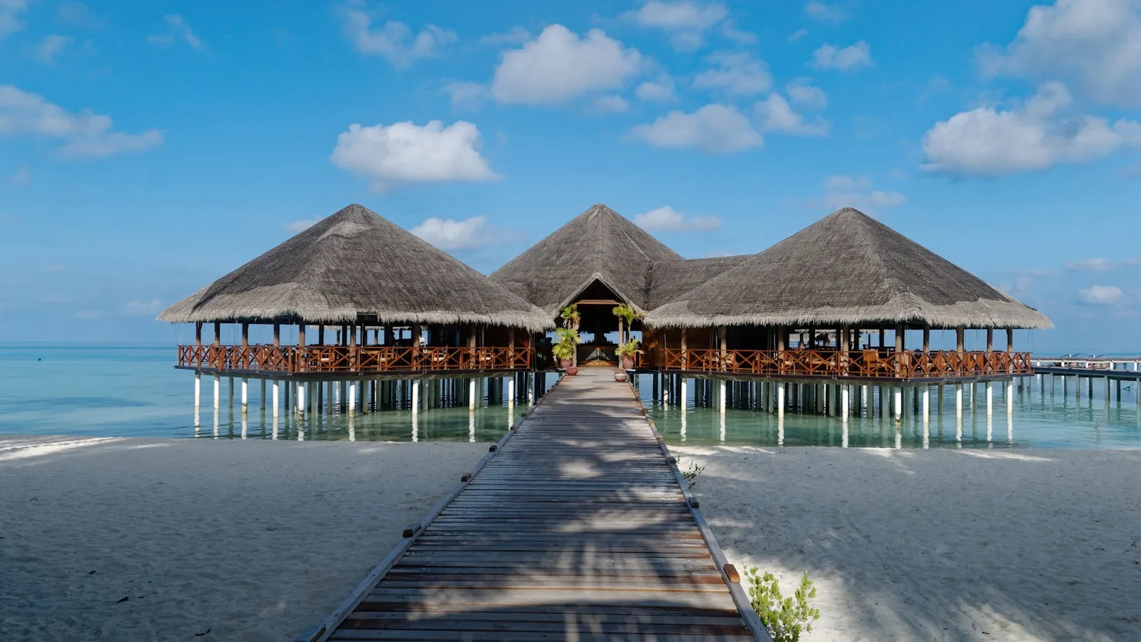 Les restaurants de resort : l'expérience gastronomique ultime