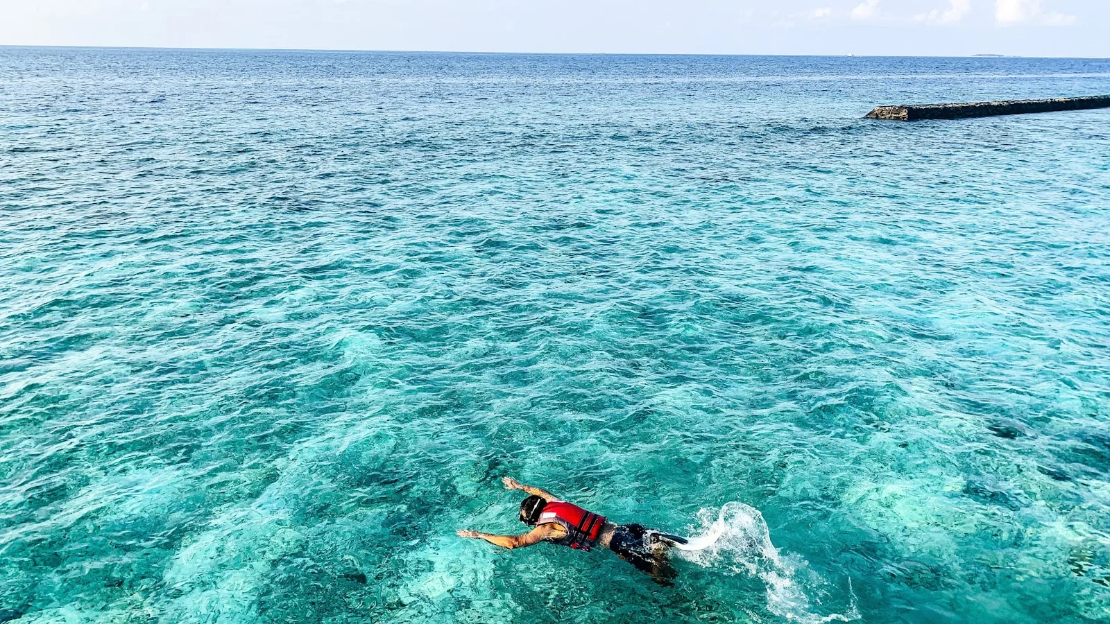 ️ Les meilleurs spots de snorkeling