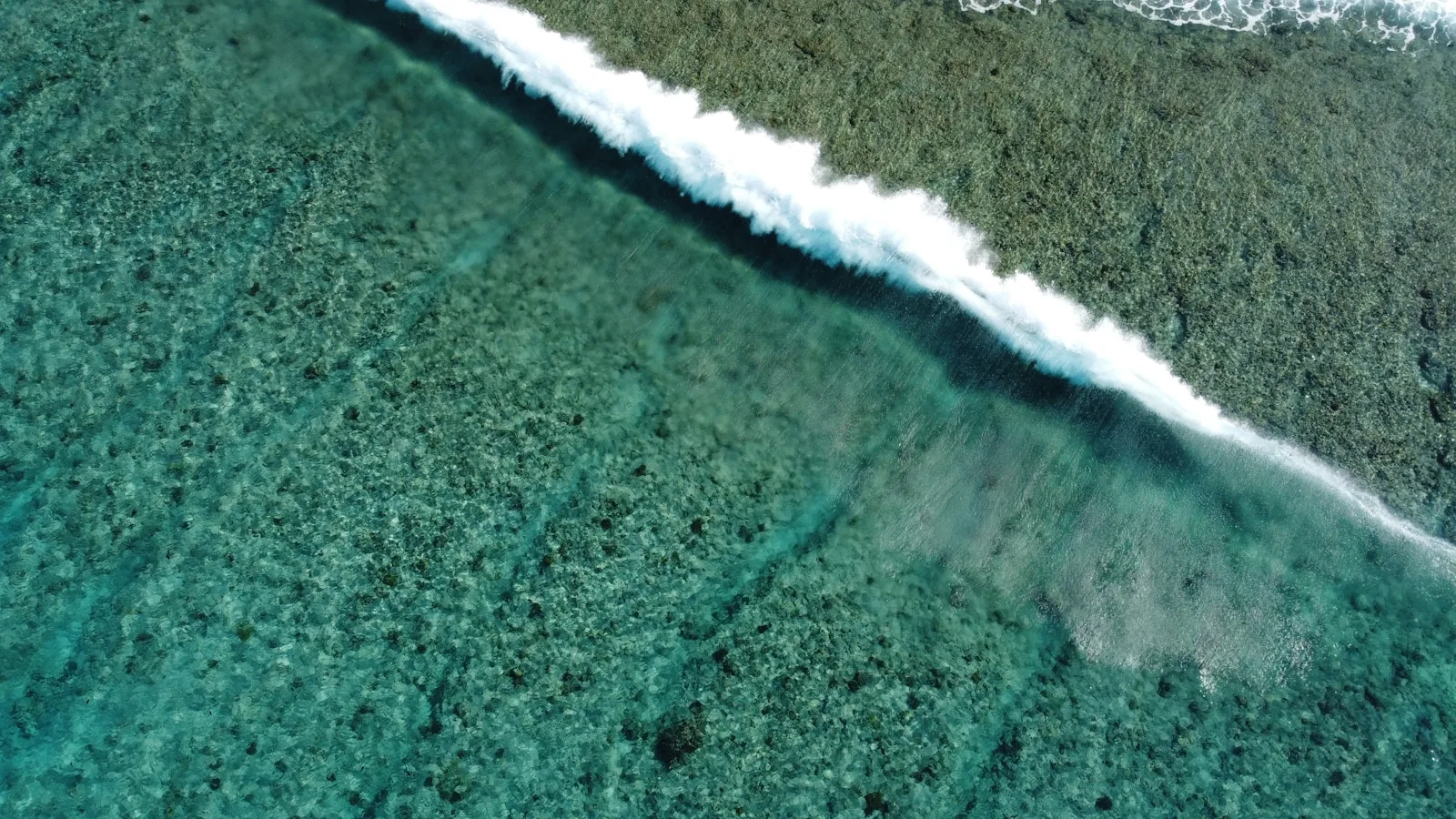 Les meilleurs spots de surf