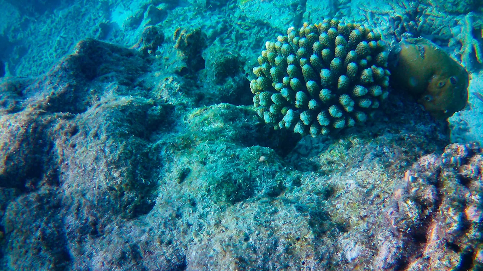 Les autres sites de plongée et snorkeling de l'Atoll d'Addu