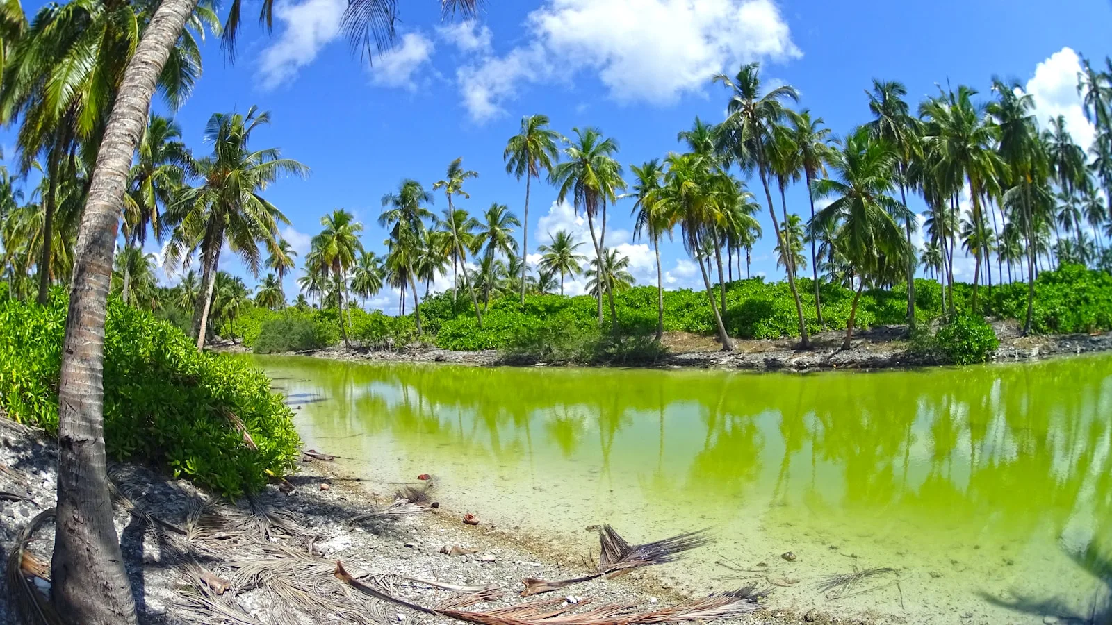 Nature et découverte à l'Atoll d'Addu