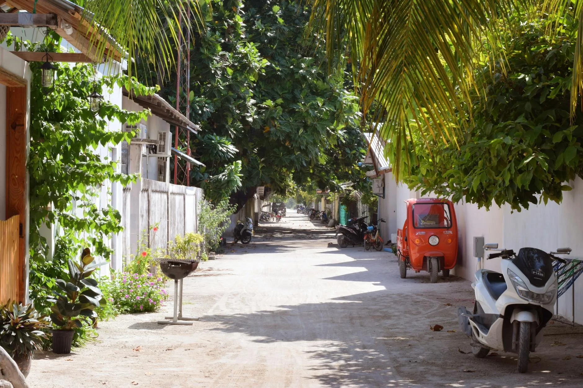 Les îles habitées de l'Atoll d'Ari : découverte locale