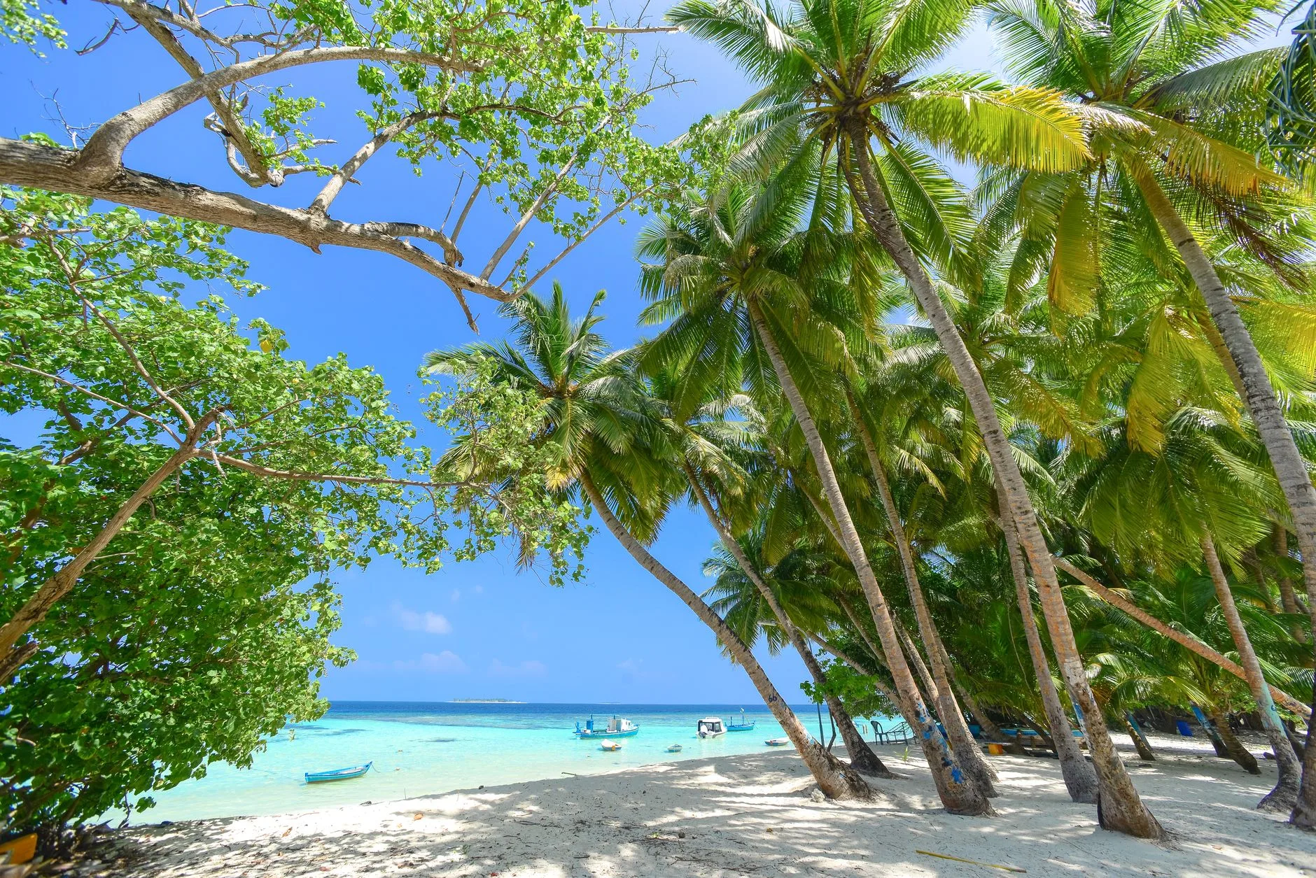 ️ Les îles incontournables de l'Atoll de Malé Sud