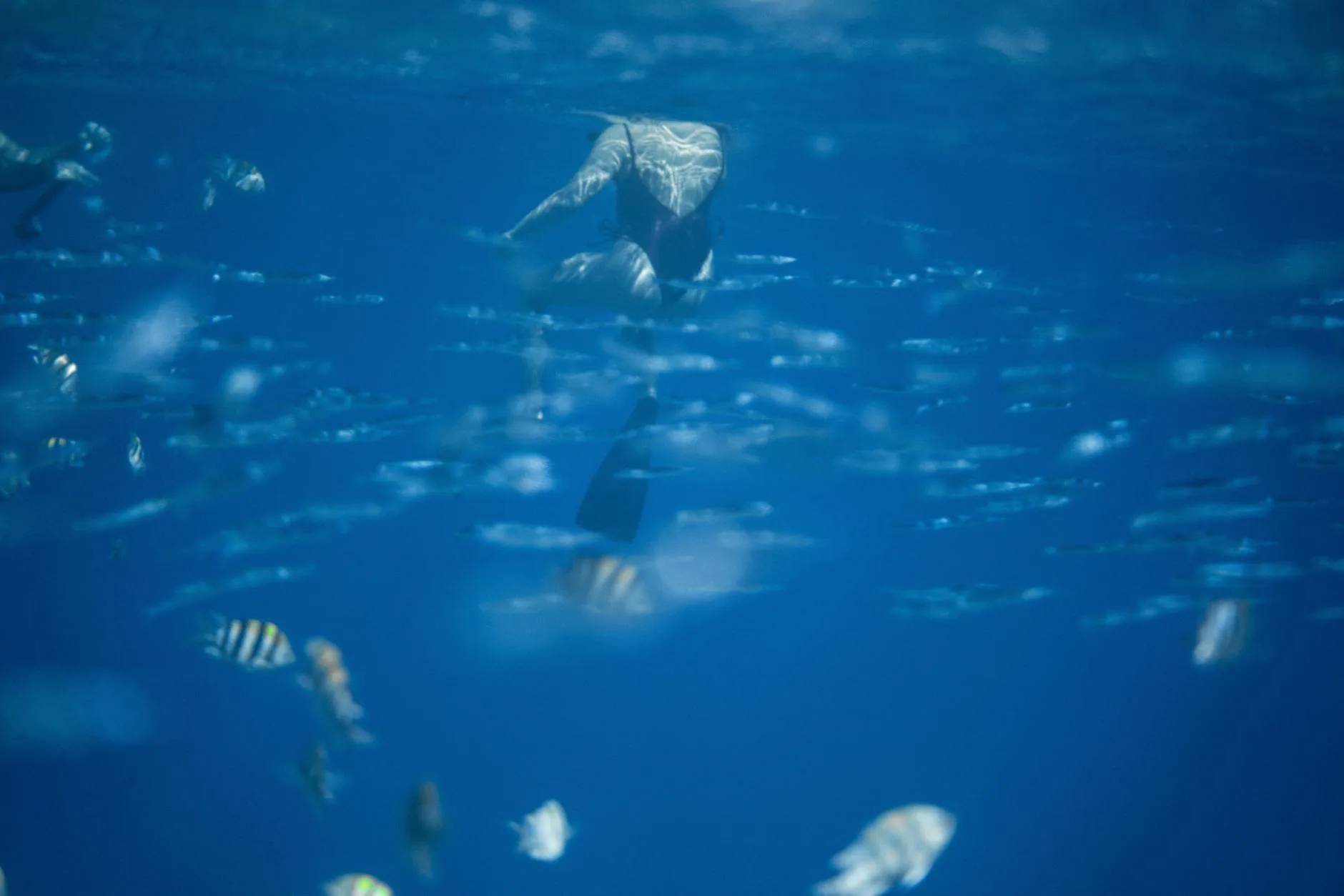 Snorkeling à Maafushi et autour de l'île