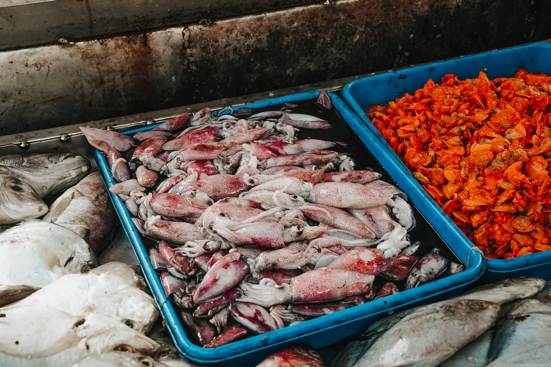Le marché aux poissons et le marché local