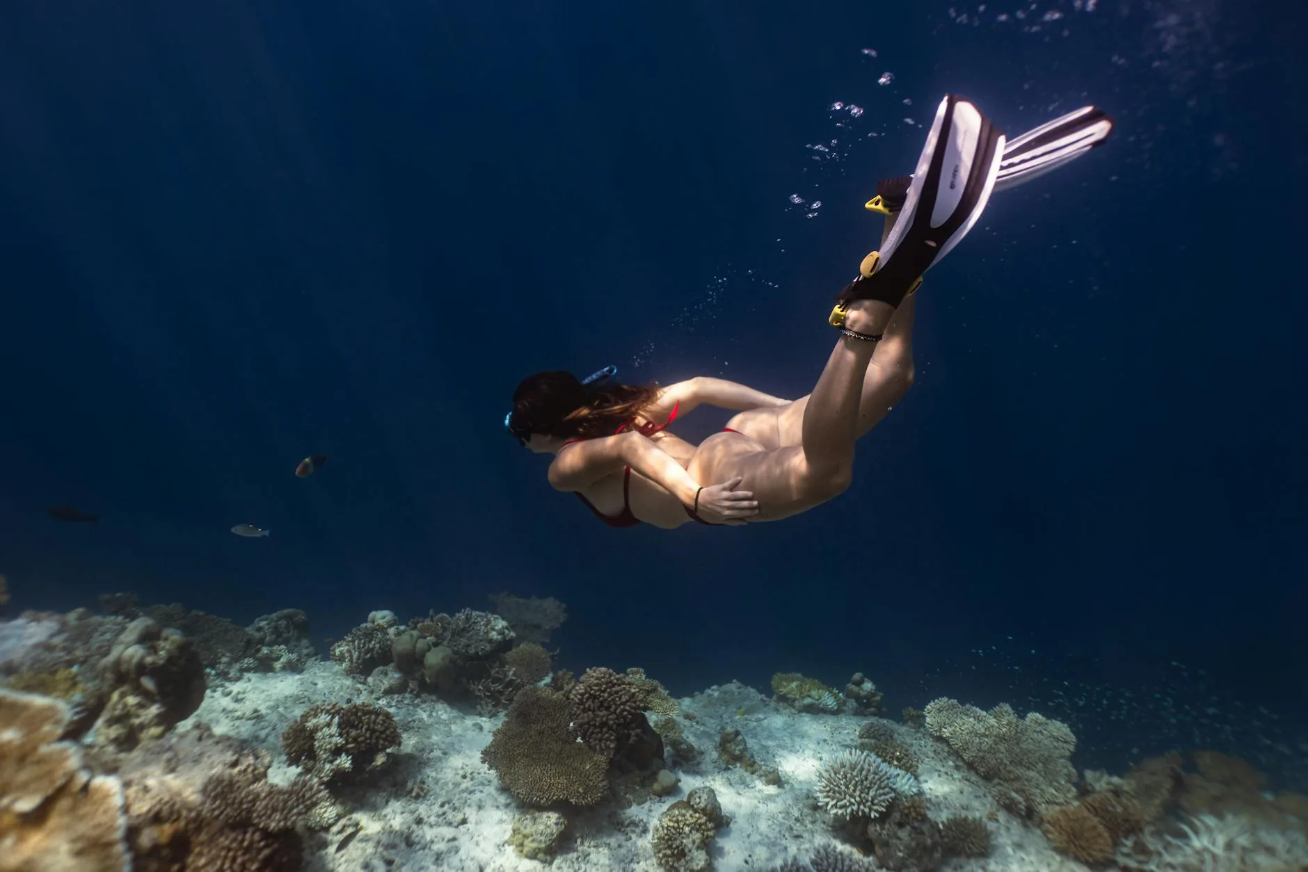 Snorkeling et plongée de jour autour de Rasdhoo